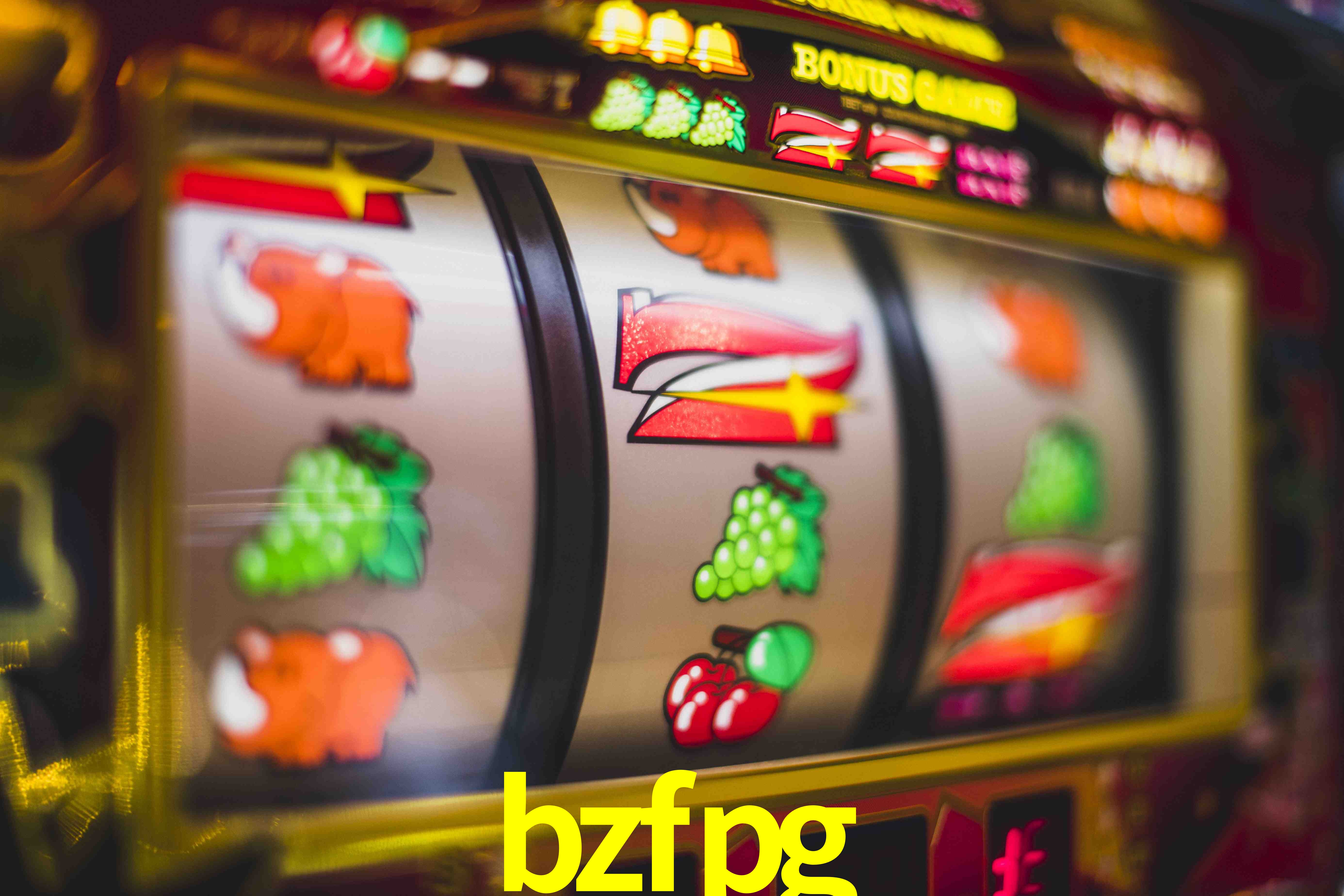 Statistics bzfpg